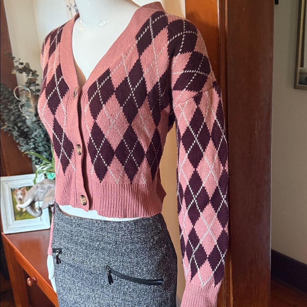 Argyle Button-Up Pink and Brown Sweater by Retrod  size Medium